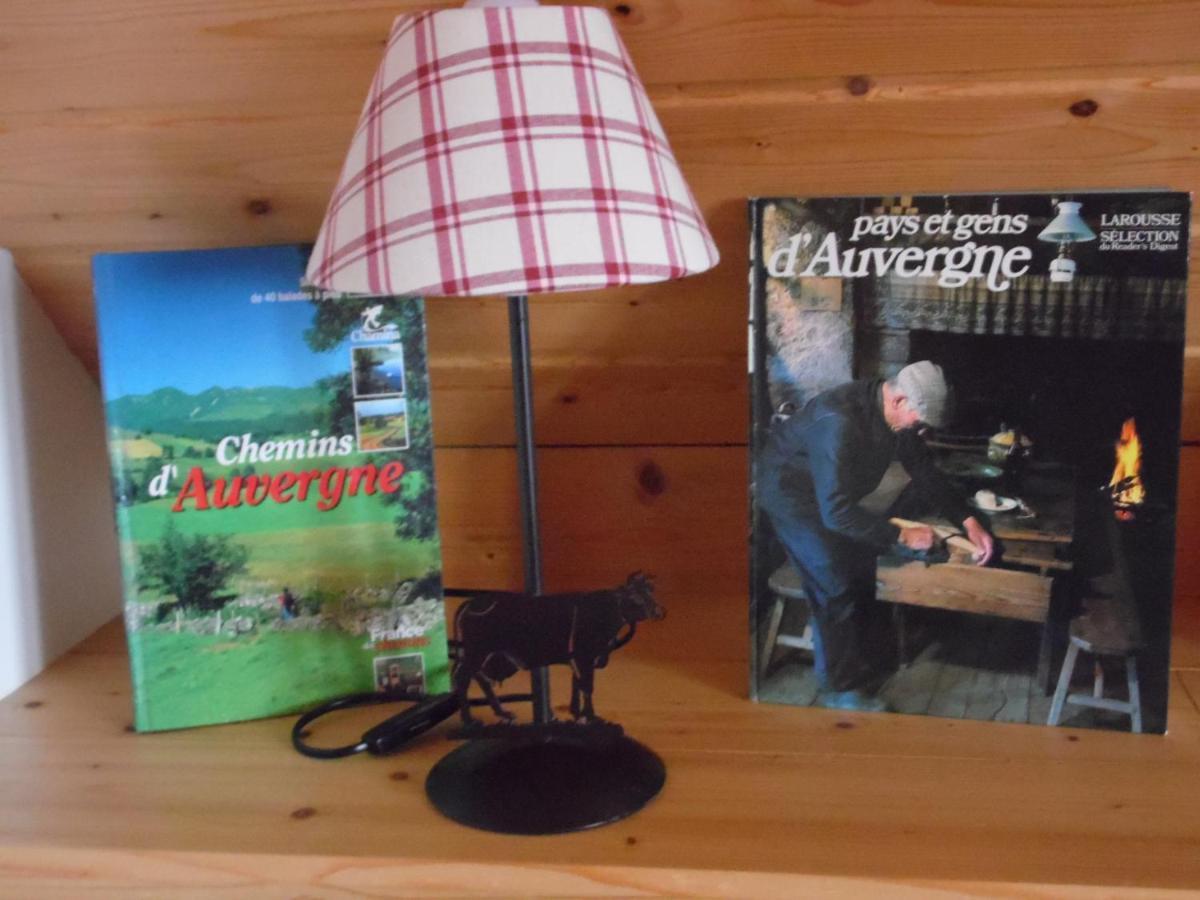 Chalet Des Clarines Saint-Genès-Champespe Kültér fotó